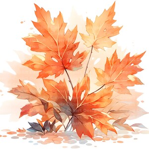 10 Autumn Leaves Clipart, Fall Leaf Clipart, Watercolor Leaf Clipart ...