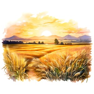 May include: A watercolor painting of a field of golden wheat at sunset. The sun is setting behind a line of hills in the distance, and the sky is a mix of orange, yellow, and pink. The wheat stalks are tall and slender, and the field is bathed in a warm, golden light.