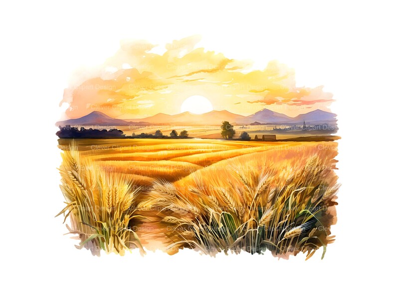 May include: A watercolor painting of a field of golden wheat at sunset. The sun is setting behind a line of hills in the distance, and the sky is a mix of orange, yellow, and pink. The wheat stalks are tall and slender, and the field is bathed in a warm, golden light.