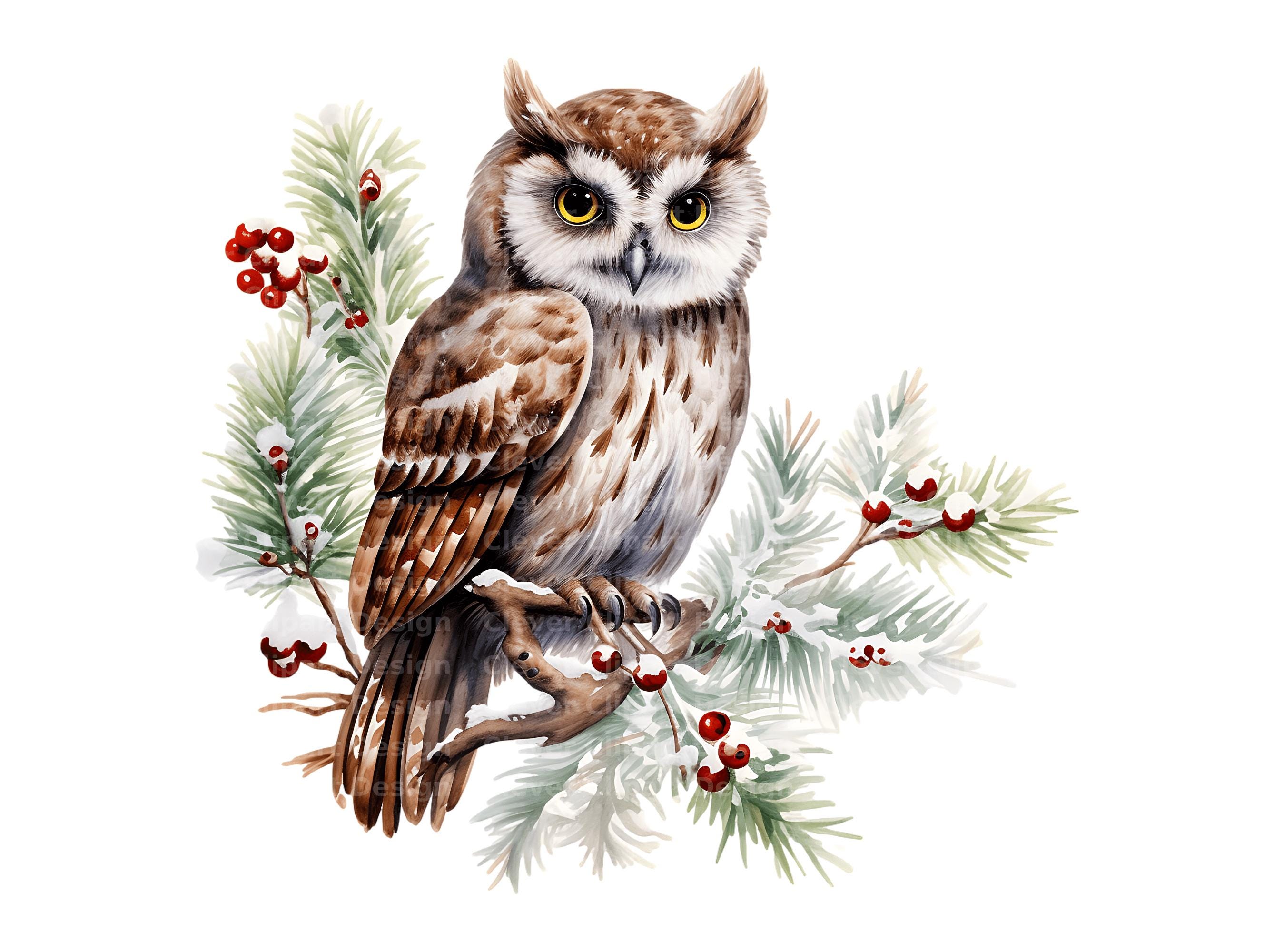 10 Winter Owl Clipart, Snow Owl Clipart, Owl on Snowy Branch, Owl PNG ...