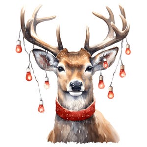 Pu&ograve; includere: Dipinto ad acquerello di un cervo con corna decorate con luci di Natale rosse e con una sciarpa rossa.
