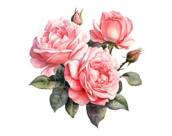 10 Pink Rose Clipart - Watercolor Rose Bouquets (PNG/JPG)