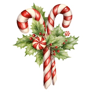 May include: A watercolour illustration of Christmas candy canes with red and white stripes, decorated with green holly leaves, red berries, and a round peppermint sweet. Festive holiday design.