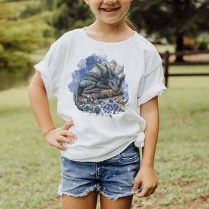 Kinderen drakenshirt kleurrijk boek draak grafisch T-shirt drakenshirt leuk verjaardagscadeau voor kinderen draak verjaardagsshirt