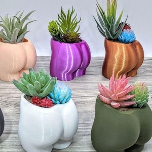 Maceta en Forma de Trasero - Culo / Plantador de glúteos / Jarron en forma de culo / Maceta con silueta Femenina - Masculina / Jardineria