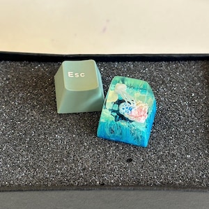 Könnte beinhalten: Zwei Keycaps, eine grüne mit dem Wort "Esc" darauf gedruckt und eine transparente mit einem blauen, grünen und rosa Quallen-Design.