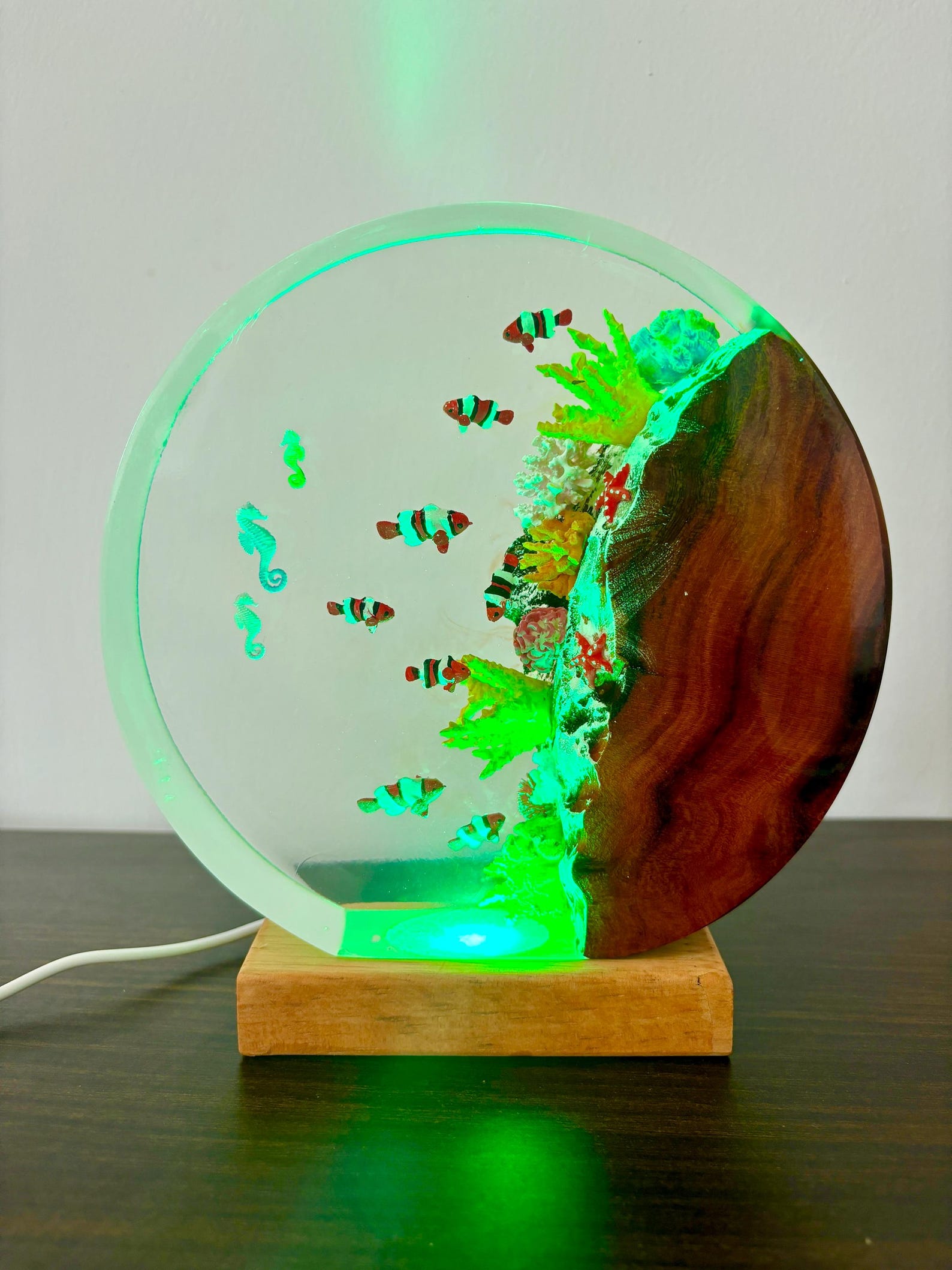 Oceanic Epoxy Resin Night Light Captivating Marine Life Décor, Lamp ...