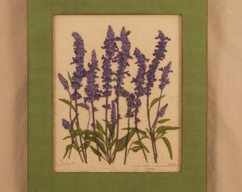 Original, Blue Salvia