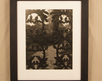 Photo, Oak Iron Fence, 1994