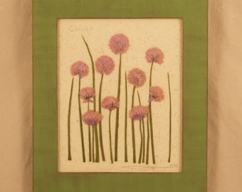 Original, Chives