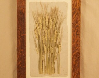 Original, Large Wheat Grass