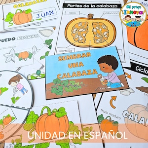 Puede incluir: Materiales educativos en español sobre calabazas. Incluye diagramas de las partes de la calabaza, una ilustración de 'Sembrar una calabaza' y un gráfico del ciclo de vida de la calabaza. Diseñado para niños.