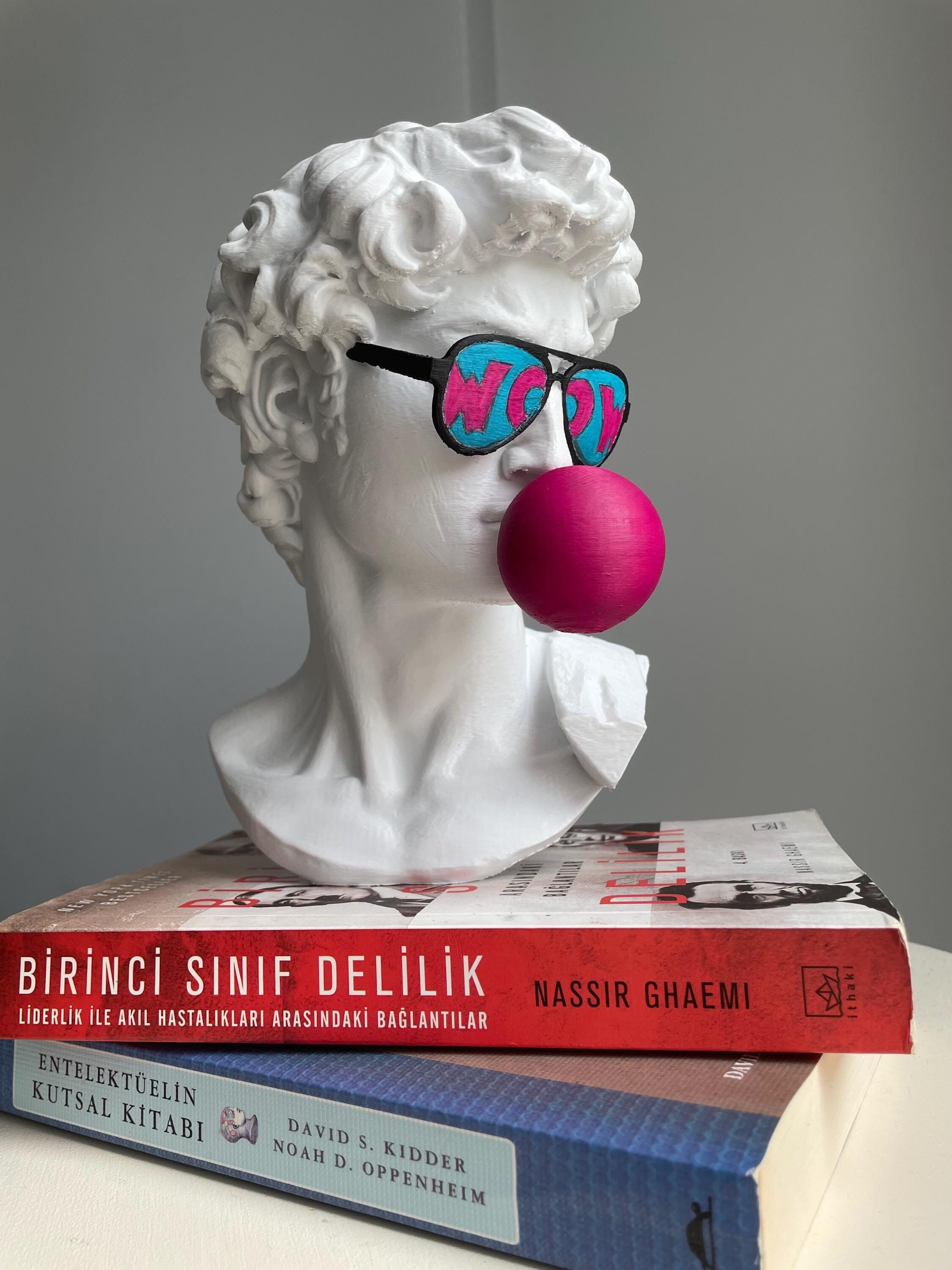 David Bust Woow Pop Art Michellangelo's David Sculpture Hand Painted 8 and 10 inches