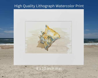 Seashell Watercolor Print: Coastal Beach Wall Art (5x7 in, 8x10 Mat)