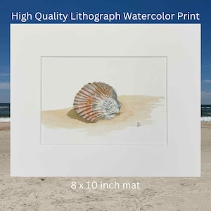 scallop shell watercolor print,Coastal beach art,Nautical home decor,Coastal Art,Beach vibes print, unique Gift,Coastal living wall art