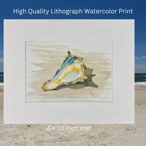May include: A watercolor print of a seashell on a sandy beach background. The seashell is yellow, blue, and white. The print is 8 x 10 inches and is matted.