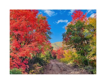Canvaskunst herfst Utah: print bergweg schilderachtige natuur
