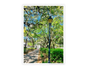 Charming Savannah Square Print Gloss Posters