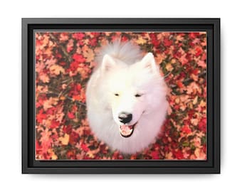 May include: A white Samoyed dog sits in a bed of red and orange autumn leaves. The dog is looking up at the camera with its mouth open, as if it is smiling.