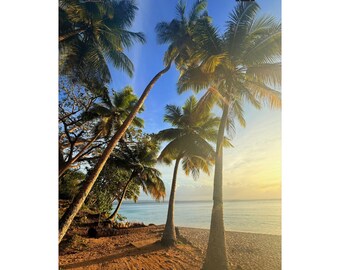 Tropical Beach Sunset Matte Poster: Coastal Wall Art