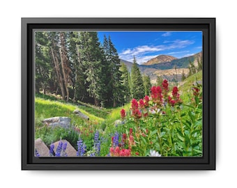 Albion Basin Wildflower Canvas Art: Framed Utah Landscape Print