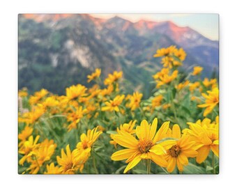 Utah Mountain Wildflowers Canvas Matte Canvas, Stretched 1.25" | Yellow Floral Wall Art