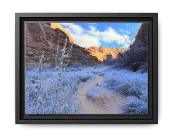 Moab Utah Canvas Print: Framed Frosty Desert Landscape Art
