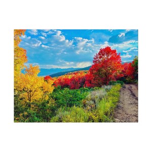 Canvas Print, Fall Leaves on a Crisp Autumn Morning, Autumn Wall Art, Home Decor, Nature Photography Print, Seasonal Wall Decor, Fall