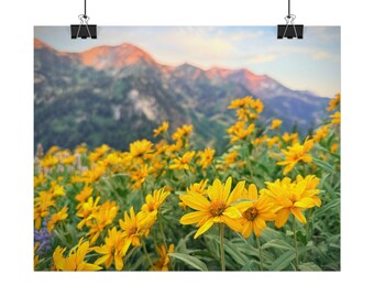 Yellow Wildflower Meadow Poster Rolled Poster | Mountain Landscape Print
