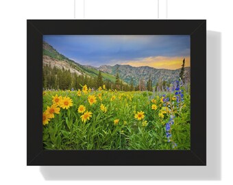 Mountain Wildflower Landscape Framed Poster: Albion Basin Sunset Art