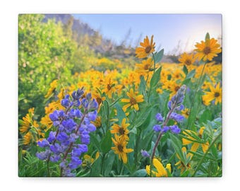 Utah Wildflowers Meadow Canvas stretched canvas