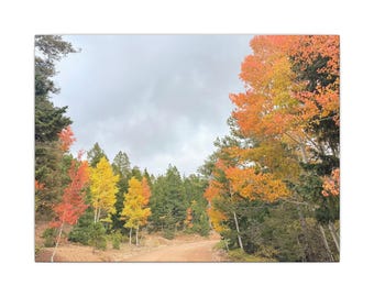 Fall Landscape Canvas Print – Old Escalante Road, Autumn Decor