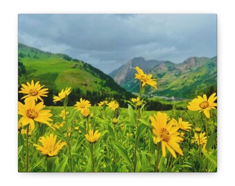 以下が含まれることがあります： 緑豊かな山々と曇り空を背景に、鮮やかな黄色の野花が咲き乱れる野原