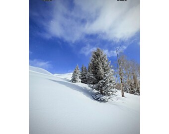 Winter Mountain Landscape Poster: Snowy Trees, Blue Sky Wall Art