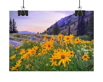 Utah Wildflowers Mountain Sunset Rolled Poster | Yellow Meadow Floral Wall Art