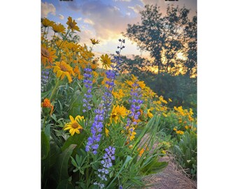 Mountain Wildflowers Poster: Colorful Utah Landscape Art, Matte Giclée Print