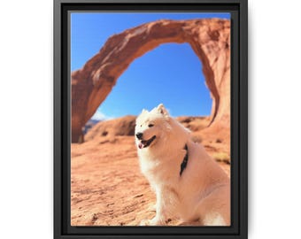Samoyed Dog Framed Canvas Print: Corona Arch, Moab Utah