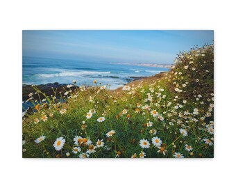 Coastal Flower Canvas Print: La Jolla Coastline Ocean View