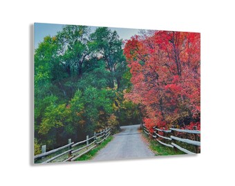Fall Country Road Acrylic Print – Colorful Autumn Leaves Landscape Wall Art