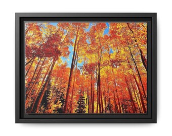 Ingelijste canvasprint herfst: herfstkleuren Big Cottonwood Canyon