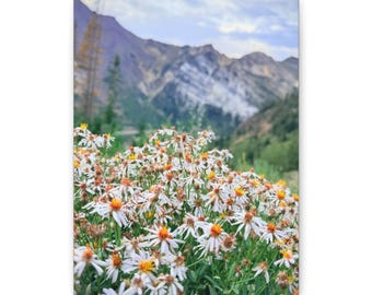 Little Cottonwood Canyon Wildflowers Matte Canvas | Mountain Meadow Wall Art