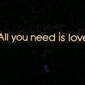 May include: A neon sign with the words "All you need is love" in a cursive font. The sign glows with a warm, inviting light against a dark background of foliage.