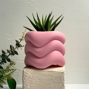 May include: A pink, wavy ceramic planter with a succulent plant inside. The planter is sitting on a textured, off-white surface.
