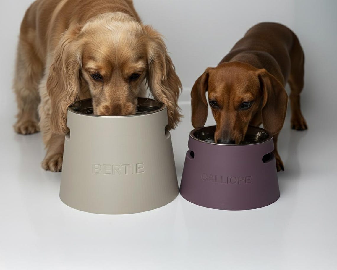 Puede incluir: Un cuenco para mascotas de color beige claro con el nombre BERTIE grabado en el frente y un cuenco más pequeño de color morado oscuro con el nombre CALLIOPE grabado. Ambos cuencos tienen una forma cilíndrica cónica con aberturas laterales.