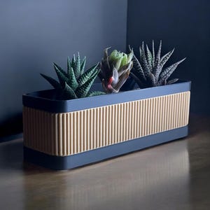 Könnte beinhalten: Ein rechteckiger Pflanztopf mit dunkelblauem Rand und Boden, mit einer hellbraunen, vertikal gerippten Mitte. Der Pflanztopf enthält drei Sukkulenten in verschiedenen Grün- und Lilatönen. Der Pflanztopf steht auf einer Holzoberfläche.