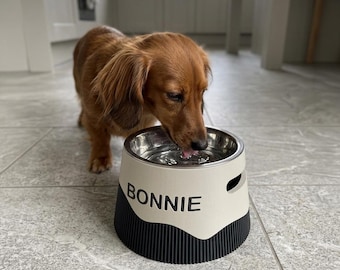 Personalized Elevated Dog Bowl Holder: Healthy Back, Custom Name, 330 and 900ml Metal Bowl
