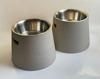 Personalized Raised Dog Bowl: Healthy Back, Custom Name, 330 and 900ml Metal Bowl Included