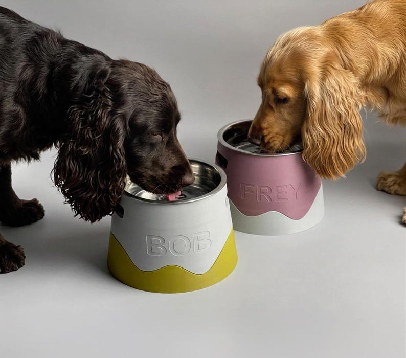 Puede incluir: Dos cuencos para perro con insertos de acero inoxidable. Uno es blanco con una base verde lima y el nombre BOB en relieve en el lateral. El otro es malva con una base blanca y el nombre FREY en relieve en el lateral. Ambos son circulares.