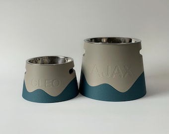 Textured Personalized Elevated Dog Bowl Holder: Healthy Back, Custom Name, 330/900ml Metal Bowl