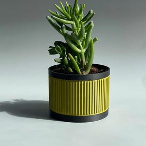 Blumentopf geriffelt mit Abtropfschale: Moderner Zimmerpflanzenübertopf